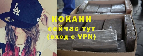 шишки Новозыбков