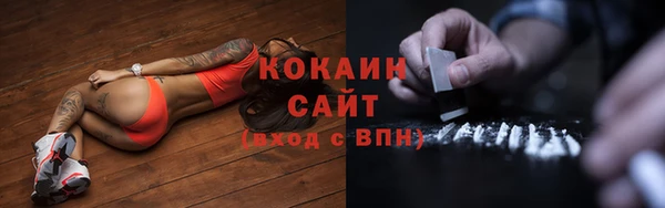 шишки Новозыбков
