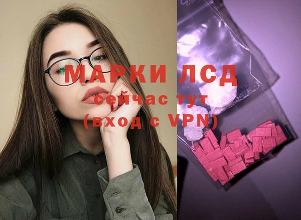 шишки Новозыбков