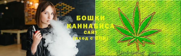 шишки Вязники