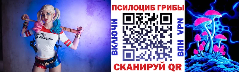 Псилоцибиновые грибы Cubensis купить наркотик Калязин
